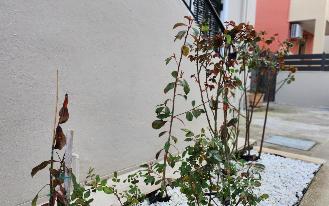 Pieri House Corfu Apartman Ípszosz Kültér fotó