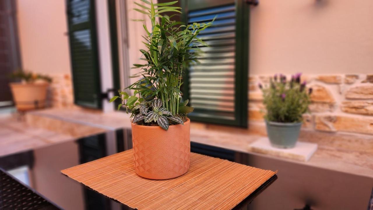 Pieri House Corfu Apartman Ípszosz Kültér fotó